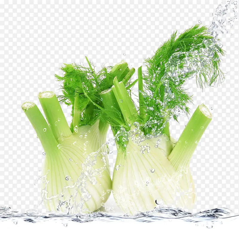 ��ɫ�߲�-������