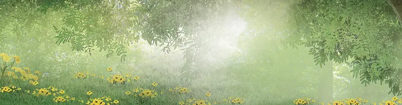 ���ֻ��䱳��-������