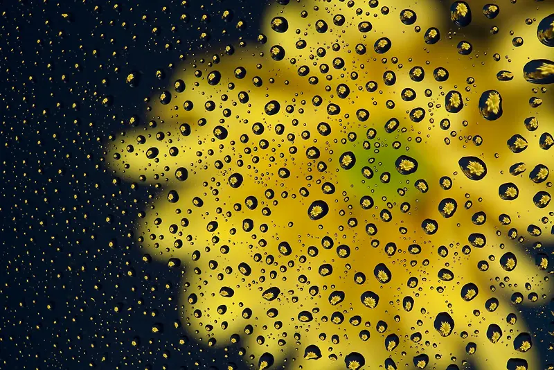 ����ˮ���ʻ�����-������