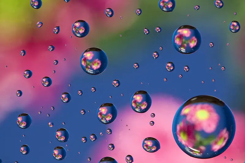 ����ˮ���ʻ�����-������