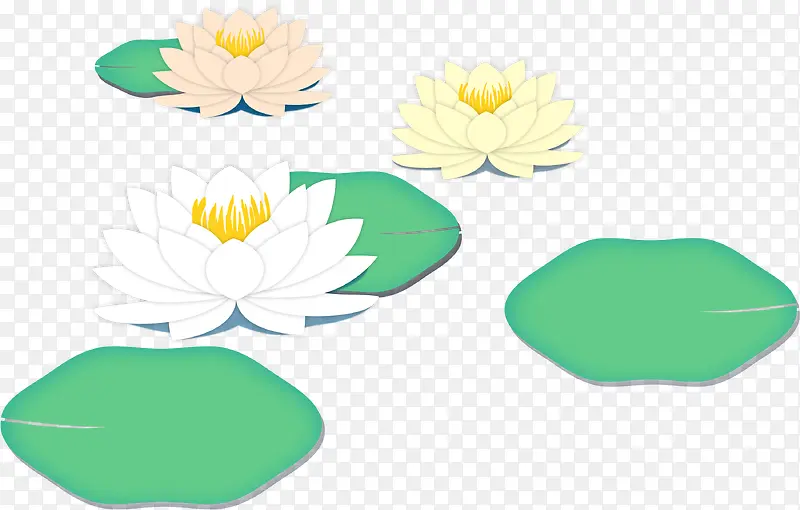 ��ͨ�ɻ�-������