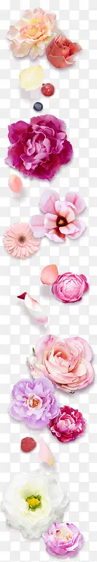 ��ɫĵ������ɫ�����ɫҶ��-������