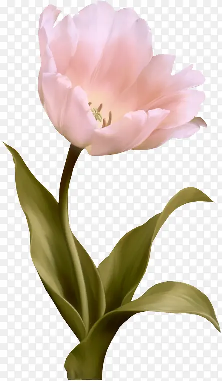 ��ɫ����ĵ����-������