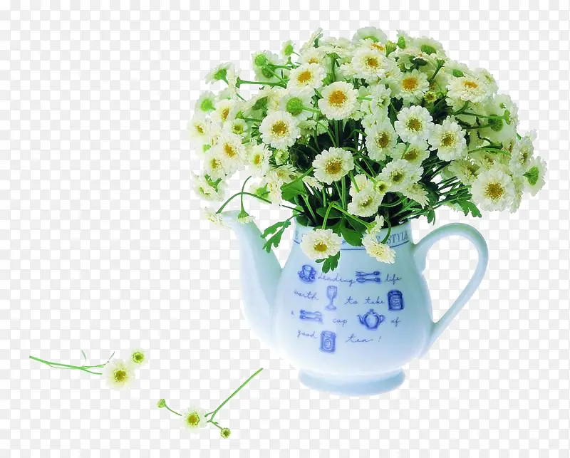 ��ɫС�ջ�-������