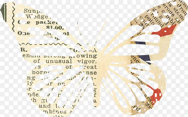 ���ⱨֽ���ƺ���-������