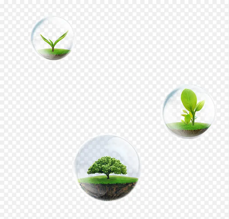 Ư���Ĳ�-������