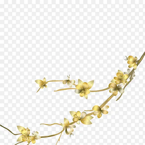 ��ɫ��̻�-������