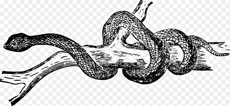 ��֦�ϲ��Ƶ���ʸ��ͼ-������