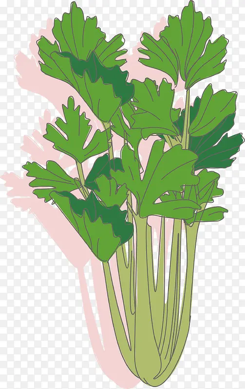 ʸ����ƽ��ɫ�۲�-������