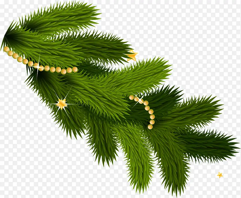 ��ɫʥ����֦-������