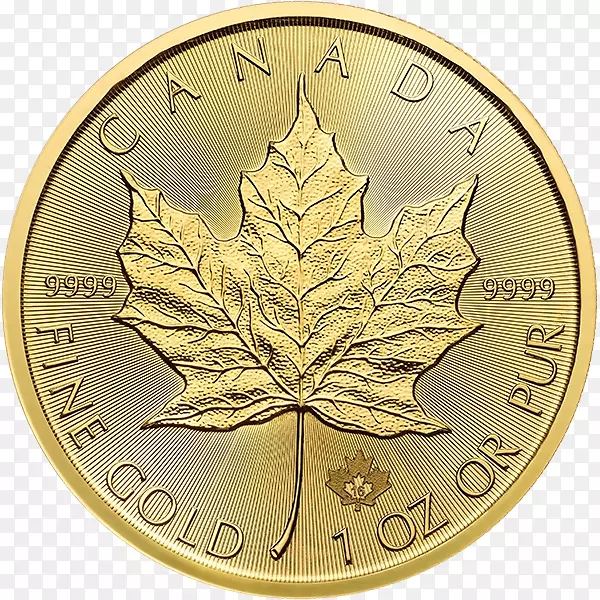 ���ô���Ҷ��˾�ʼҼ��ô󱡺�-��Ҷ-������