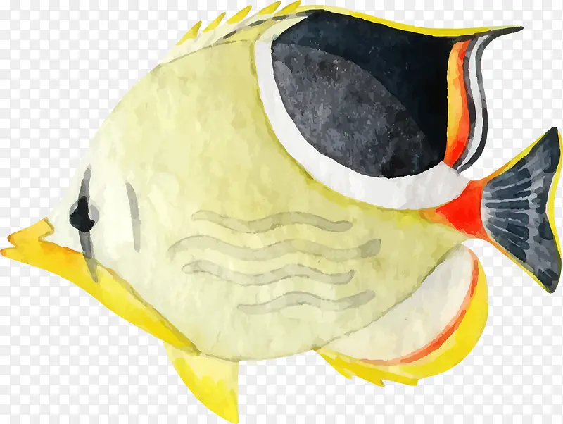 ���纣�����ֻ���С��-������