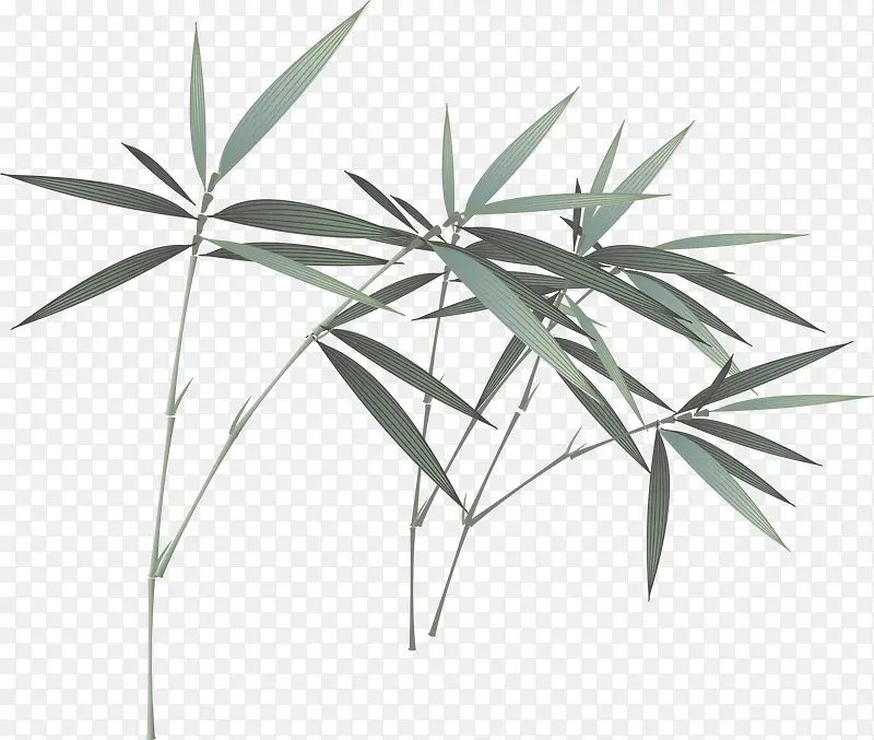 �й��� ī�� ��ͳ-������