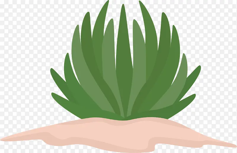 �ֻ��������˲�-������