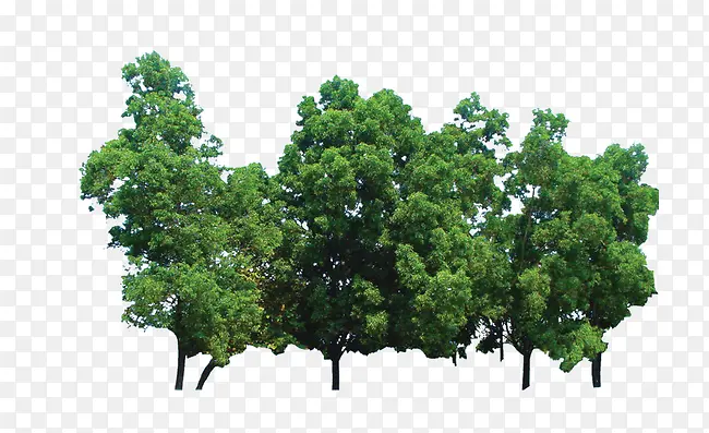 ��-������