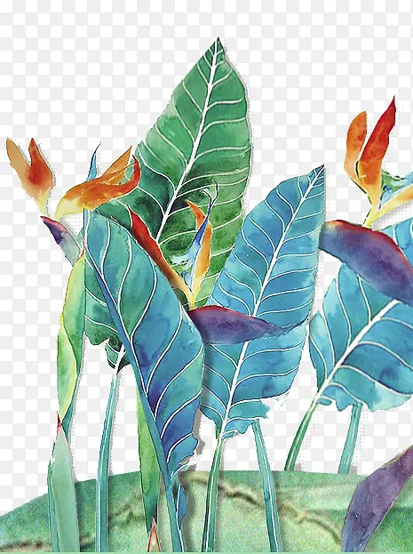 ��ɫ��Ҷͼ��-������