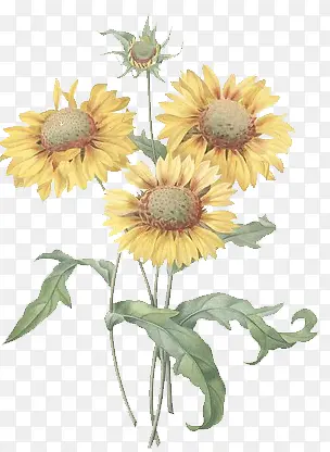 ���·�ɫ����-������