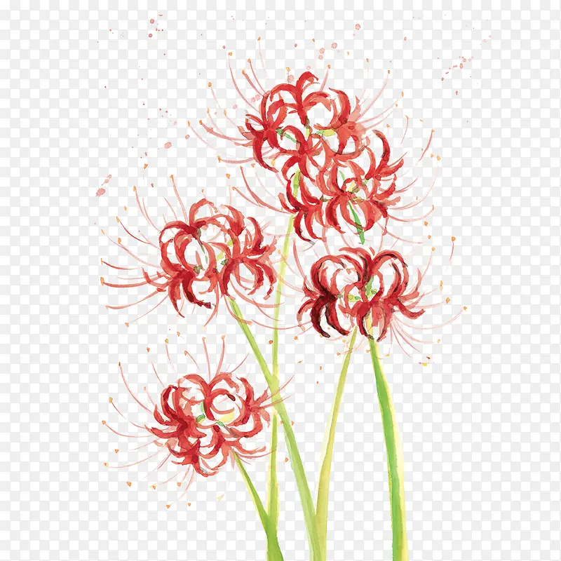 ��ɫ����-������