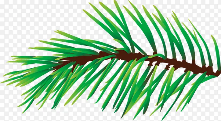 ��ɫ��֦��������-������