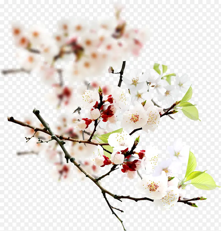 ģ����Ӱ÷��ʢ��-������