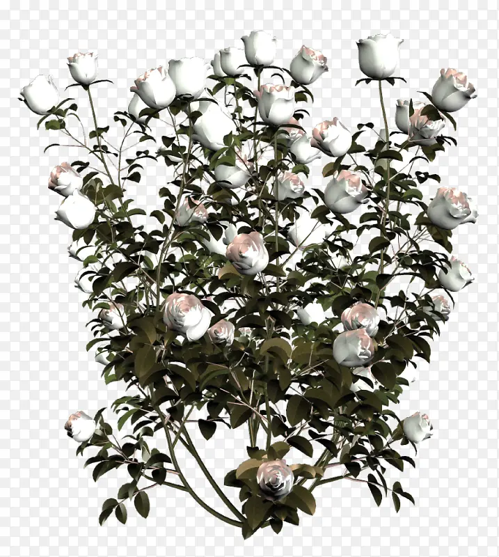 �����ز���ֲ����-������