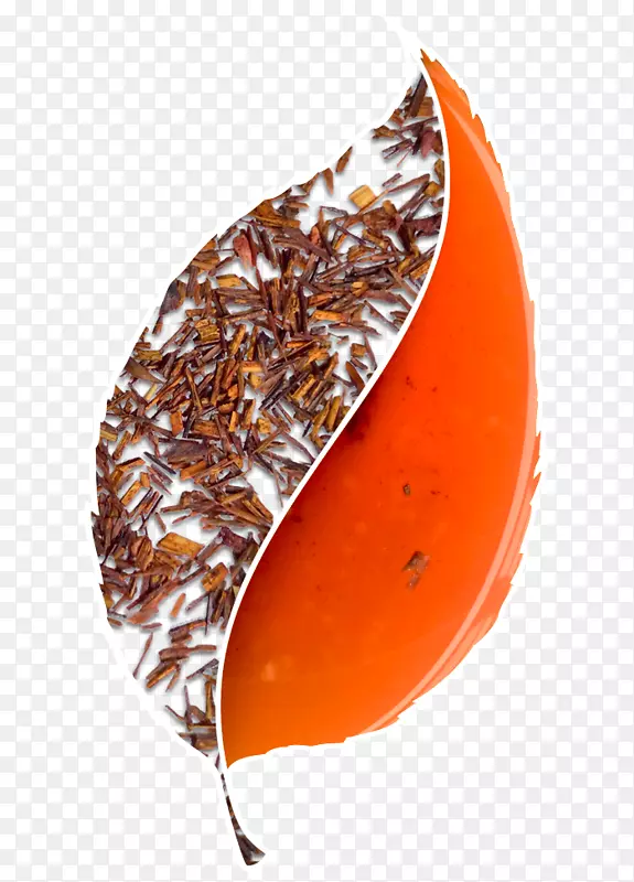 Ҷ��Ҷ-������