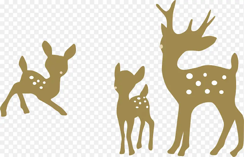 ��ͨ÷��¹-������