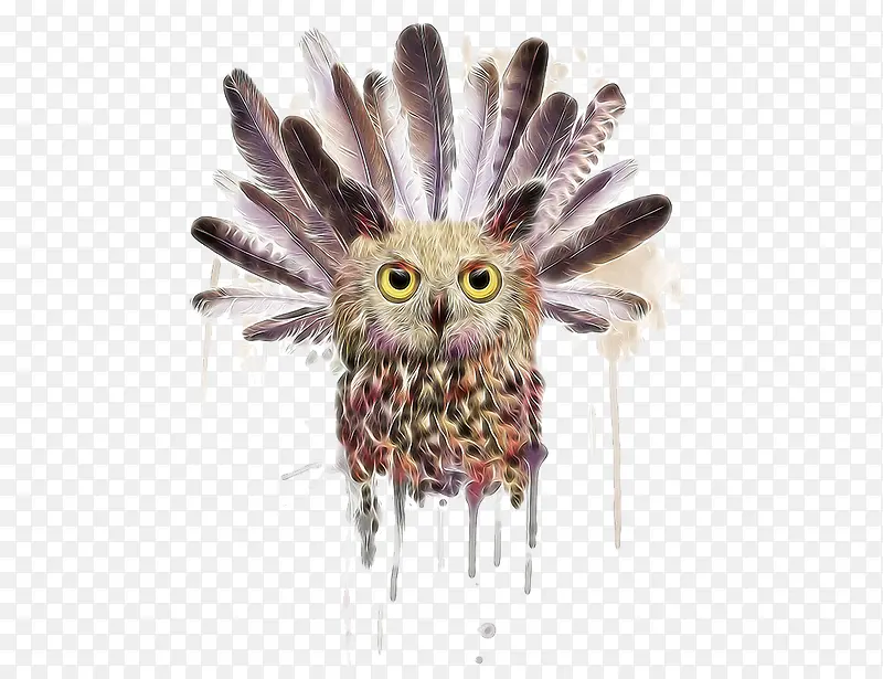 ��ë��èͷӥ-������