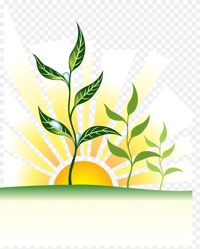 ����ֲ��ˮ��ʸ���ز�-������