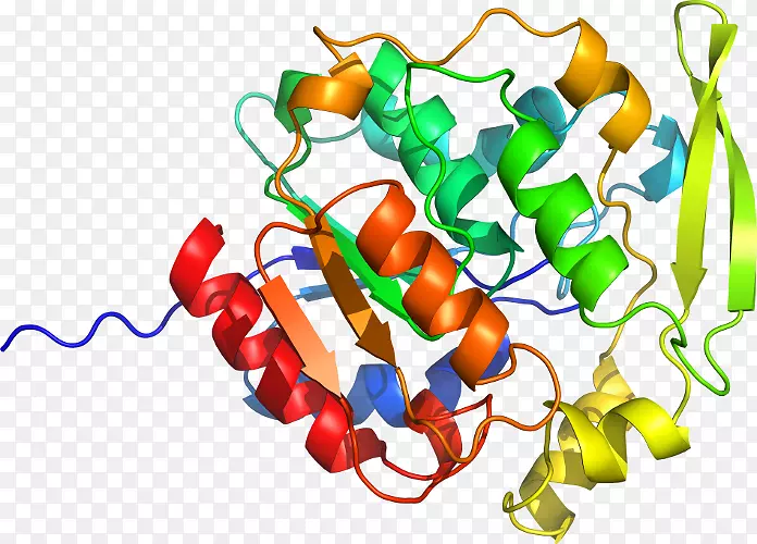 ʳƷ�߲˼�����.ľ��-������