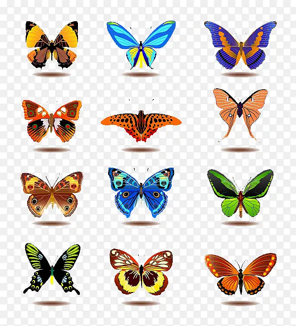 ���ָ�����������-������