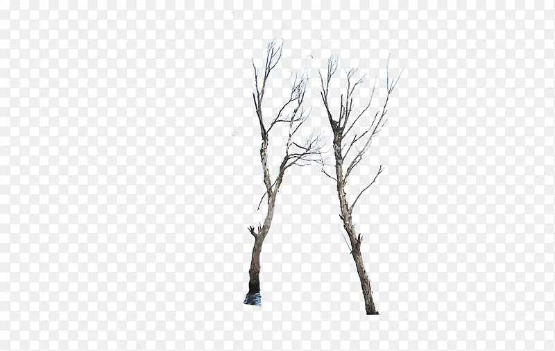 ����֦�ز�ͼ��-������