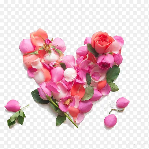 ���Ⱞ��-������