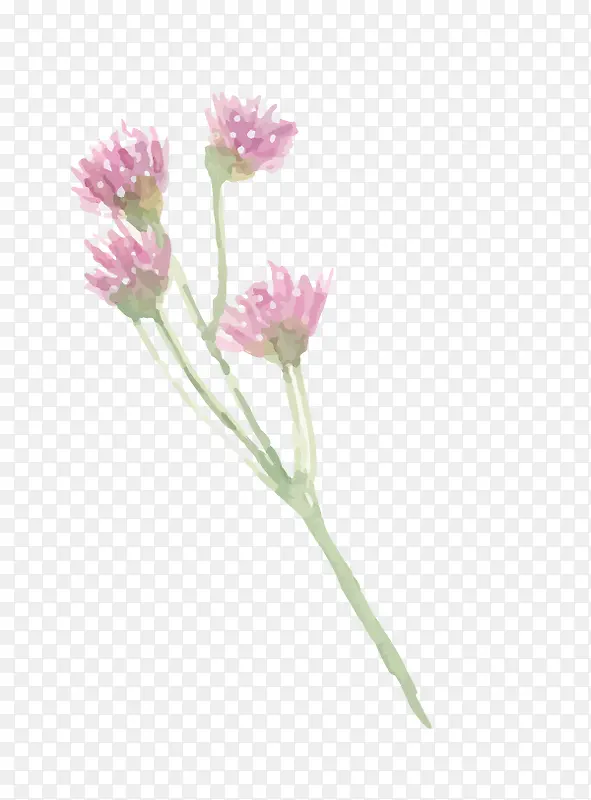 �ֻ�ˮ��Ԫ������Ԫ��-������