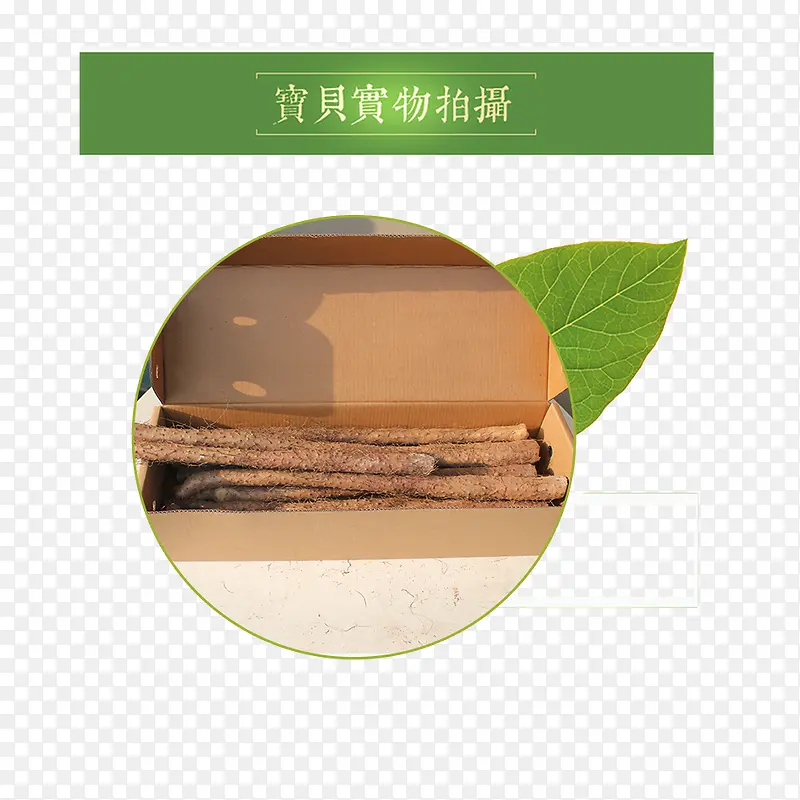 Ҷ��ɽҩ-������