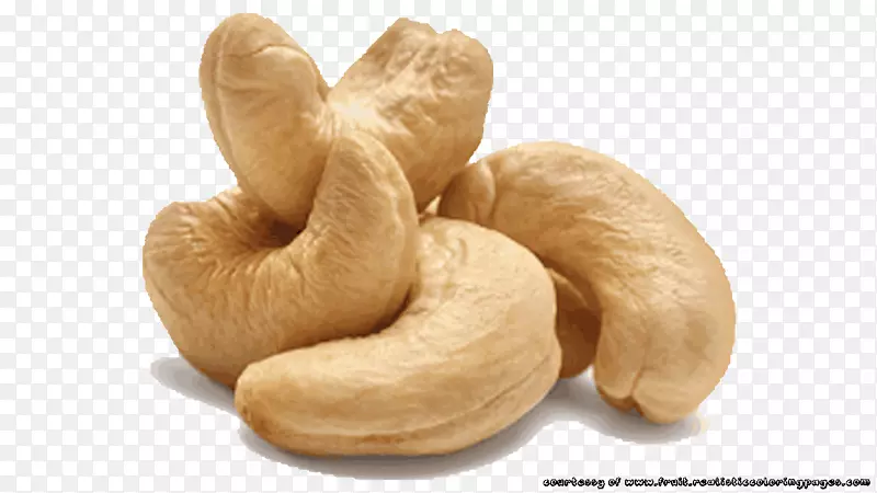 �����ɿ���������ɹ�����-������