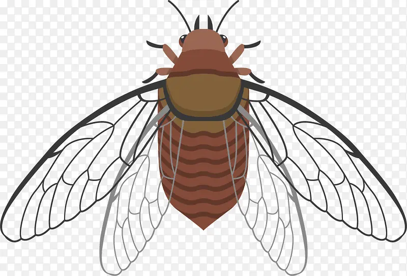 �ԳƳ��ʸ�������-������