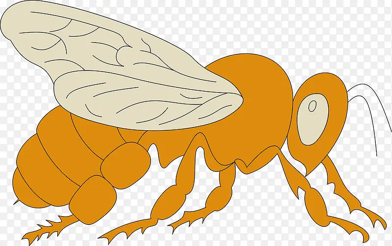 ��ɫ�Ĳ���-������