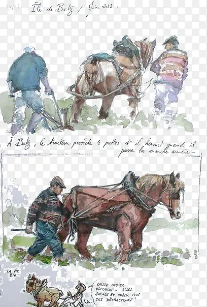 ǣţ����-������