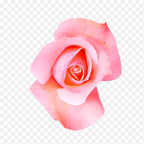 ����������õ��ͼƬ�ز�-������