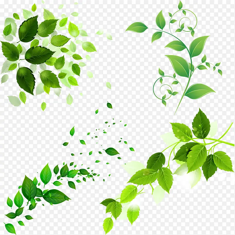 ��ɫ��Ҷ-������