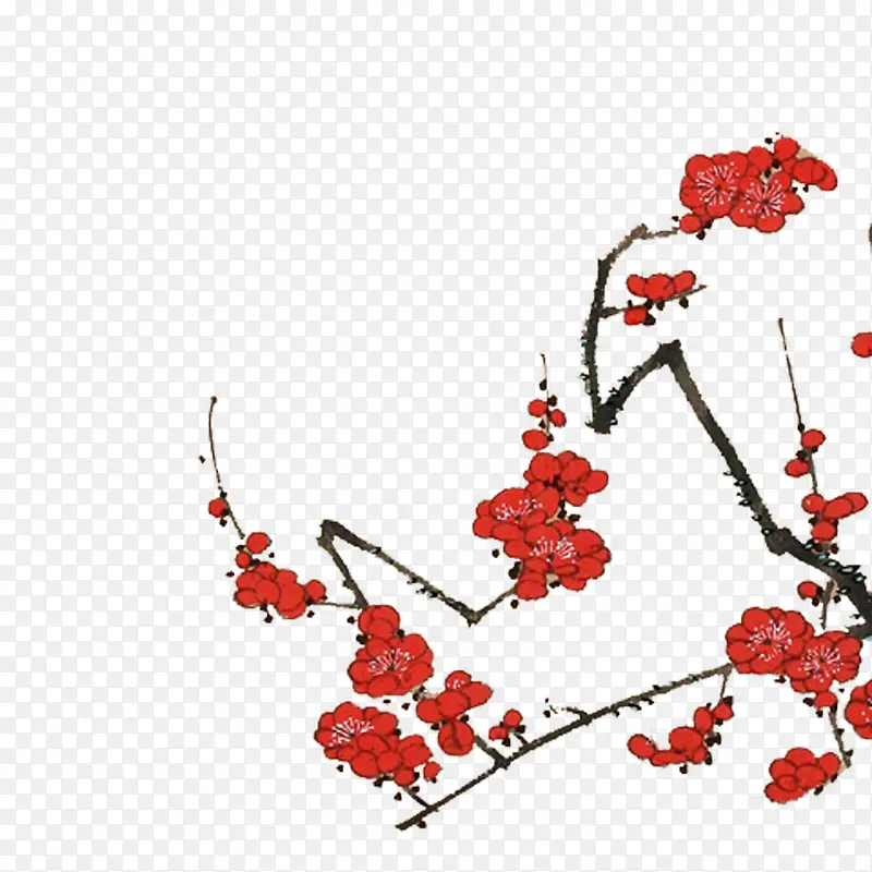 ����÷��-������