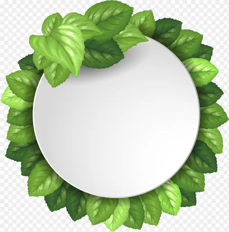 ��ɫ��ǩ-������