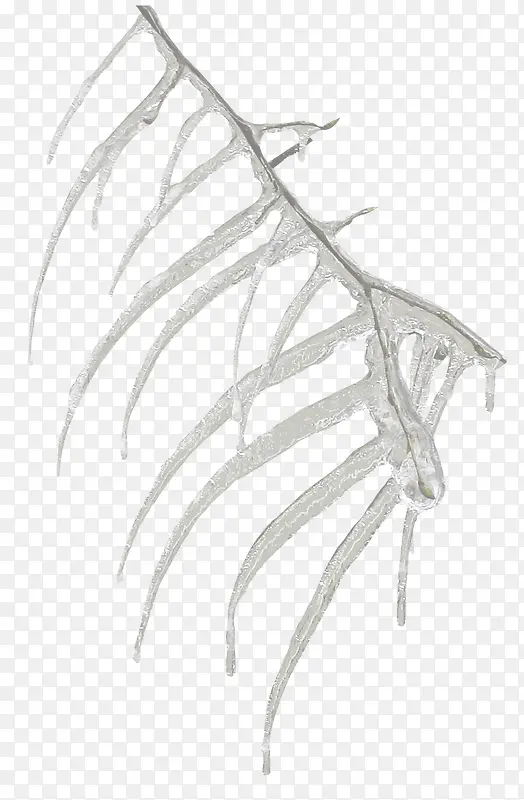 �����֦-������