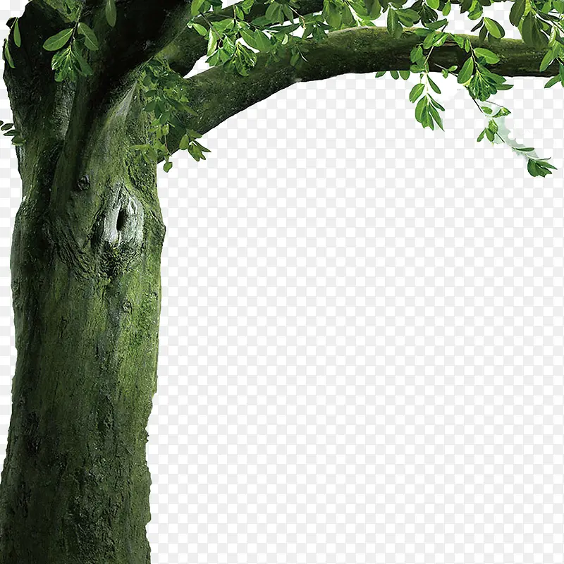 ����-������