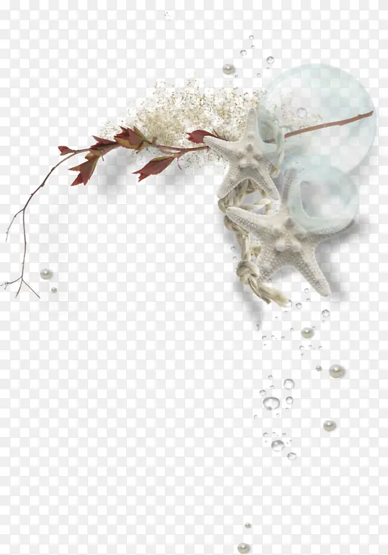 ��������װ����֦-������