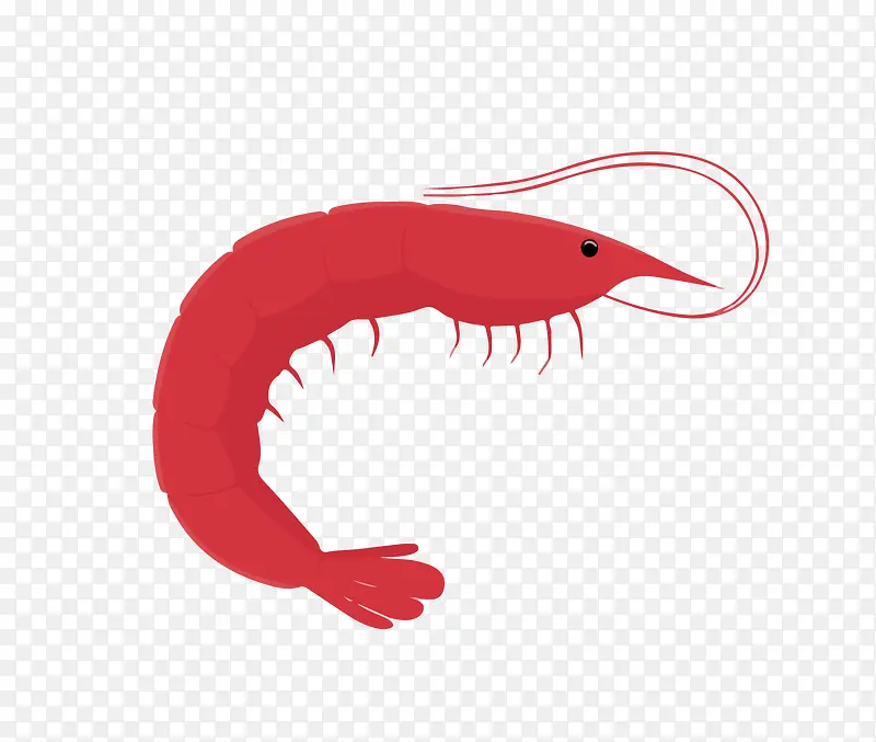 ����Ϻ������-������