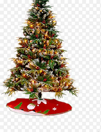 ѩ��ʥ����-������