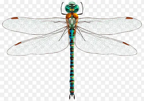 ͸������������-������