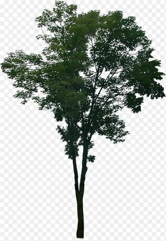 С��ҹ��Ψ������-������